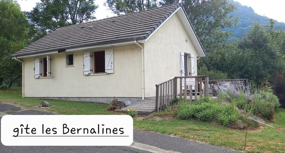 Cantal Gite Au Pied Du Griou Super Lioran Saint-Jacques-des-Blats Екстер'єр фото